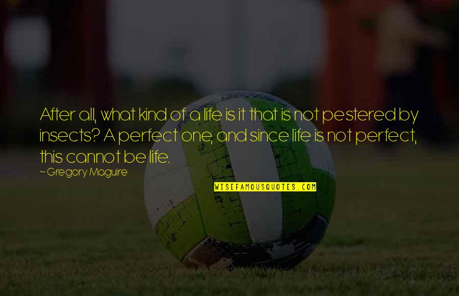 Life Is Perfect Quotes By Gregory Maguire: After all, what kind of a life is Life Is Perfect Quotes By Gregory Maguire: After all, what kind of a life is