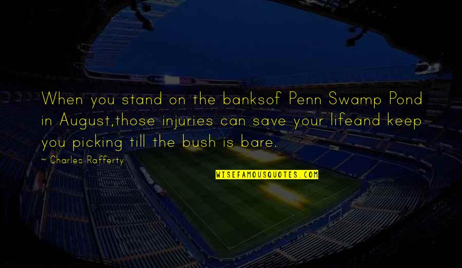 Life Is River Quotes By Charles Rafferty: When you stand on the banksof Penn Swamp Life Is River Quotes By Charles Rafferty: When you stand on the banksof Penn Swamp