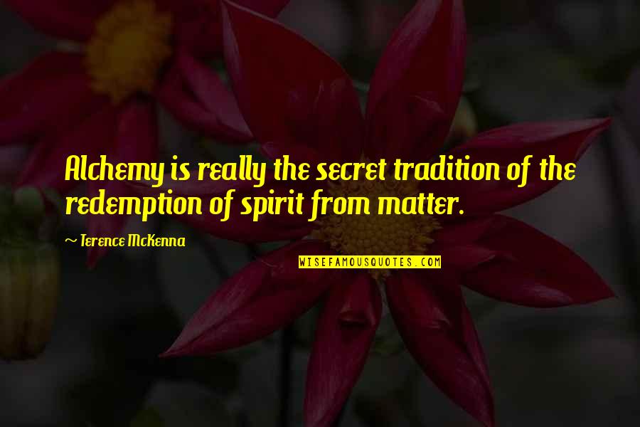 Life Is Secret Quotes By Terence McKenna: Alchemy is really the secret tradition of the