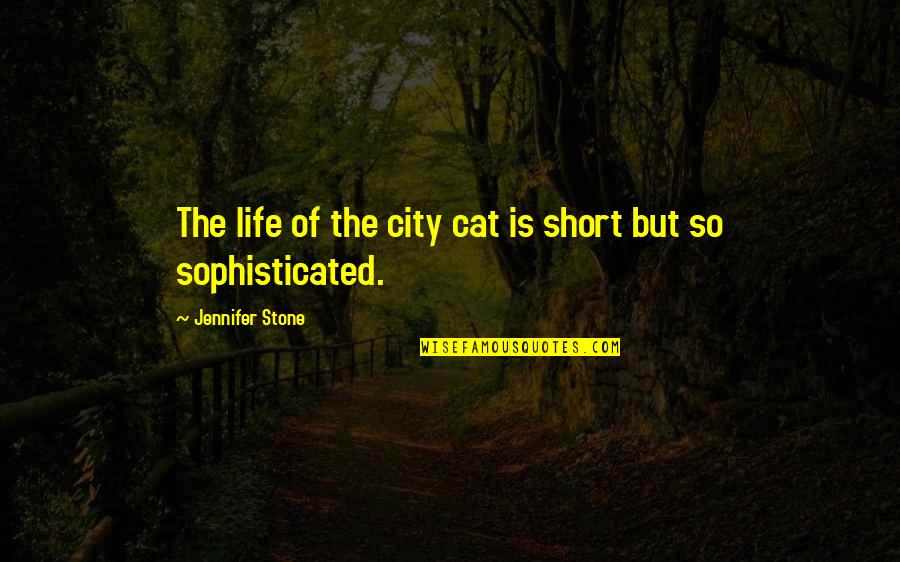 Life Is Short So Quotes By Jennifer Stone: The life of the city cat is short