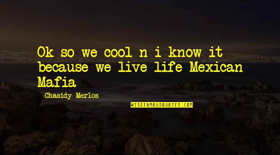Life Is So Cool Quotes By Chasidy Merlos: Ok so we cool n i know it