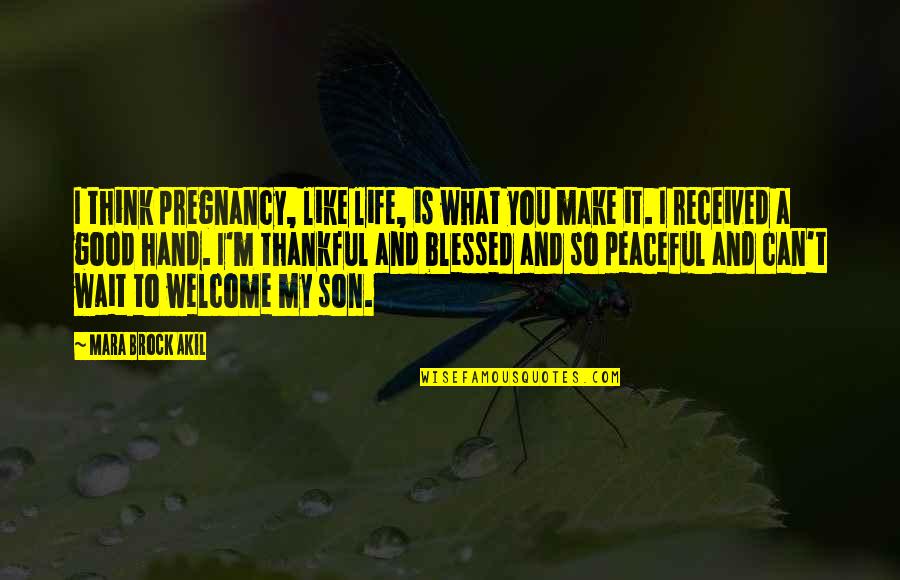 Life Is So Good Quotes By Mara Brock Akil: I think pregnancy, like life, is what you