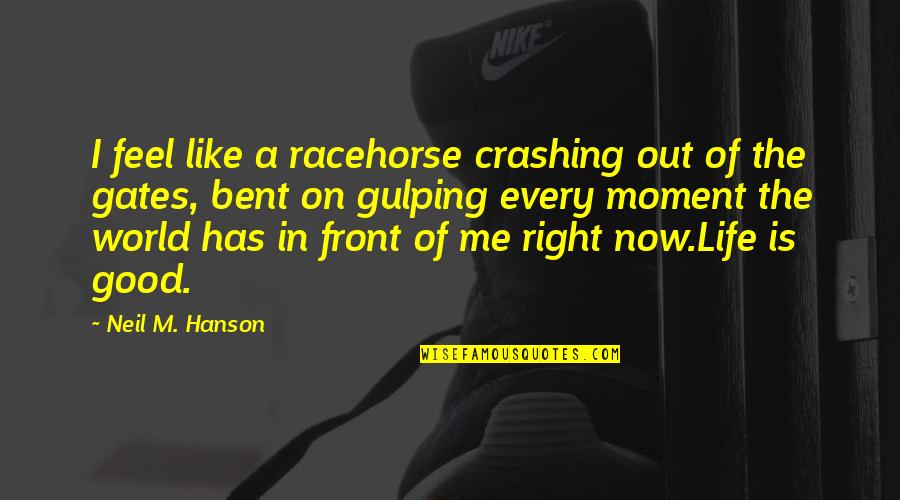 Life Is So Good Right Now Quotes By Neil M. Hanson: I feel like a racehorse crashing out of Life Is So Good Right Now Quotes By Neil M. Hanson: I feel like a racehorse crashing out of