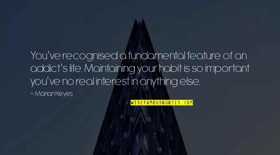 Life Is So Important Quotes By Marian Keyes: You've recognised a fundamental feature of an addict's