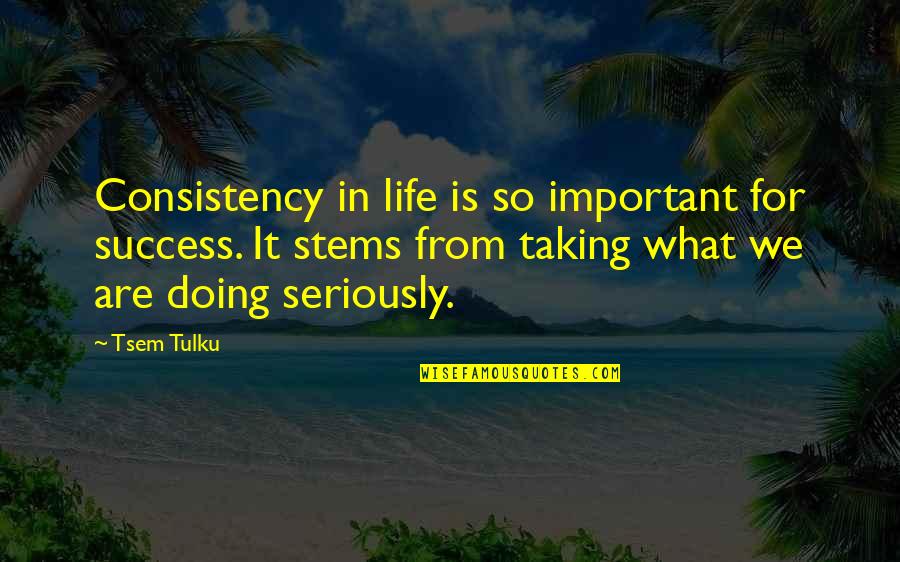 Life Is So Important Quotes By Tsem Tulku: Consistency in life is so important for success.
