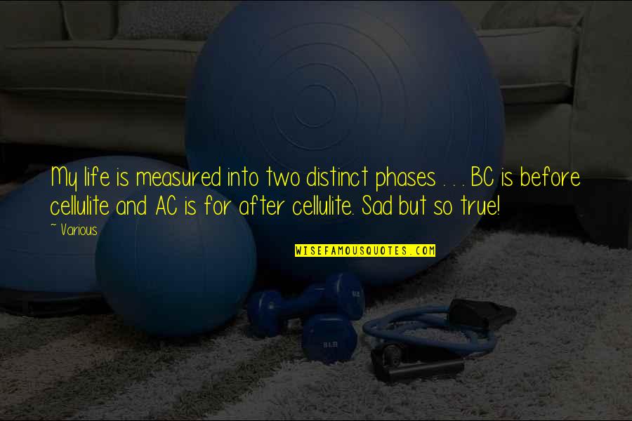 Life Is So Sad Quotes By Various: My life is measured into two distinct phases Life Is So Sad Quotes By Various: My life is measured into two distinct phases