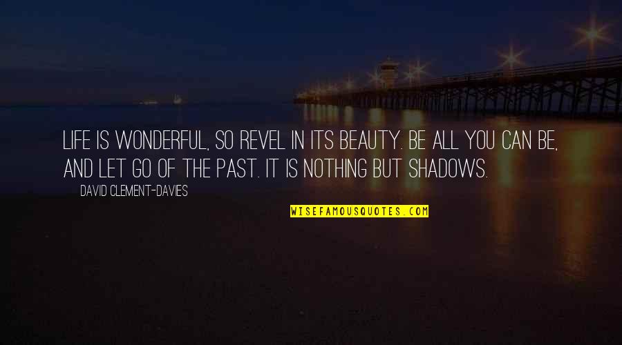 Life Is So Wonderful Quotes By David Clement-Davies: Life is wonderful, so revel in its beauty. Life Is So Wonderful Quotes By David Clement-Davies: Life is wonderful, so revel in its beauty.