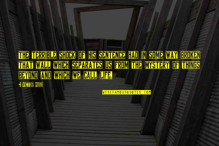 Life Is Such A Mystery Quotes By Victor Hugo: The terrible shock of his sentence had in