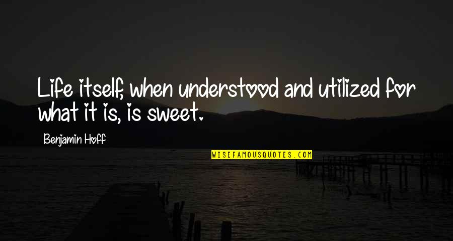 Life Is Sweet Quotes By Benjamin Hoff: Life itself, when understood and utilized for what