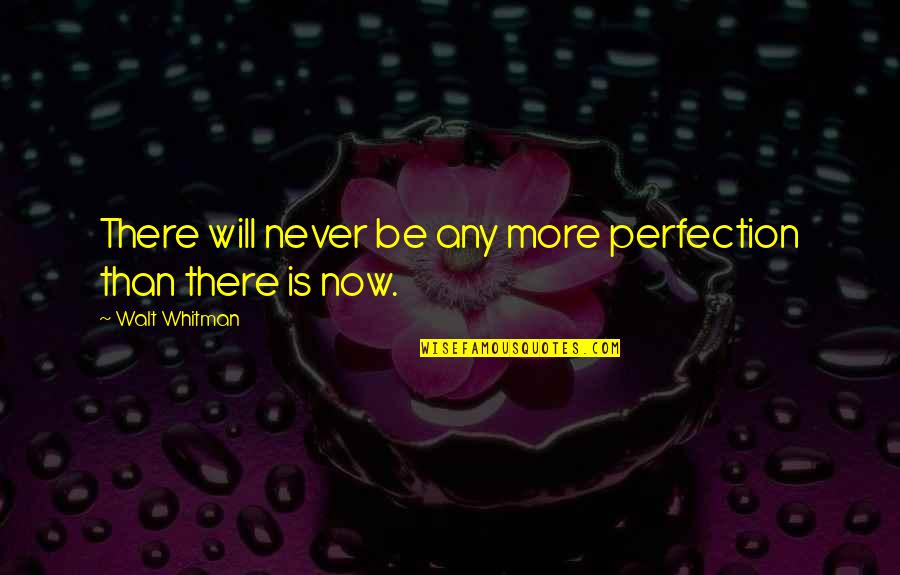 Life Is The Art Of Drawing Without An Eraser Quotes By Walt Whitman: There will never be any more perfection than Life Is The Art Of Drawing Without An Eraser Quotes By Walt Whitman: There will never be any more perfection than