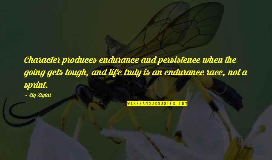 Life Is Tough Quotes By Zig Ziglar: Character produces endurance and persistence when the going