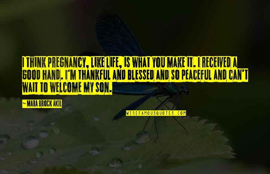 Life Is What You Make It Quotes By Mara Brock Akil: I think pregnancy, like life, is what you