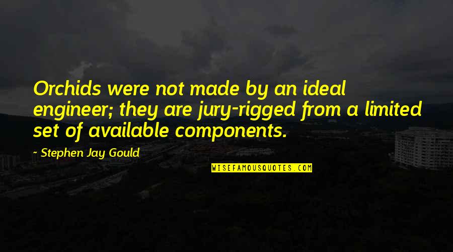 Life Isn't Always Rainbows And Butterflies Quotes By Stephen Jay Gould: Orchids were not made by an ideal engineer;