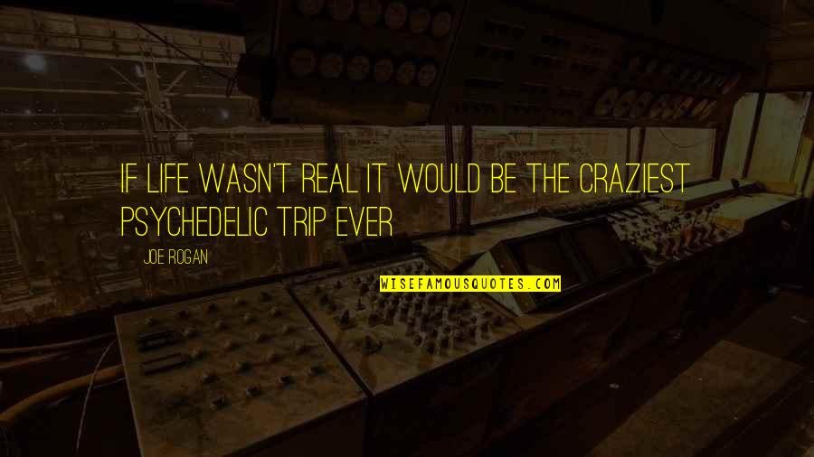 Life Joe Rogan Quotes By Joe Rogan: If life wasn't real it would be the