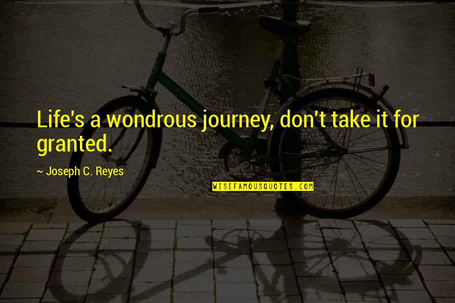 Life Journey Inspirational Quotes By Joseph C. Reyes: Life's a wondrous journey, don't take it for