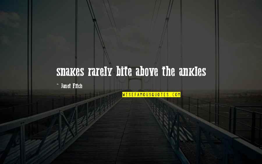 Life Journey Tumblr Quotes By Janet Fitch: snakes rarely bite above the ankles