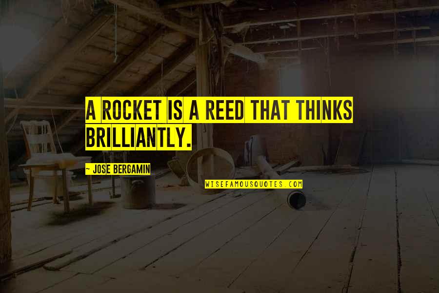 Life Keeps Going Quotes By Jose Bergamin: A rocket is a reed that thinks brilliantly.