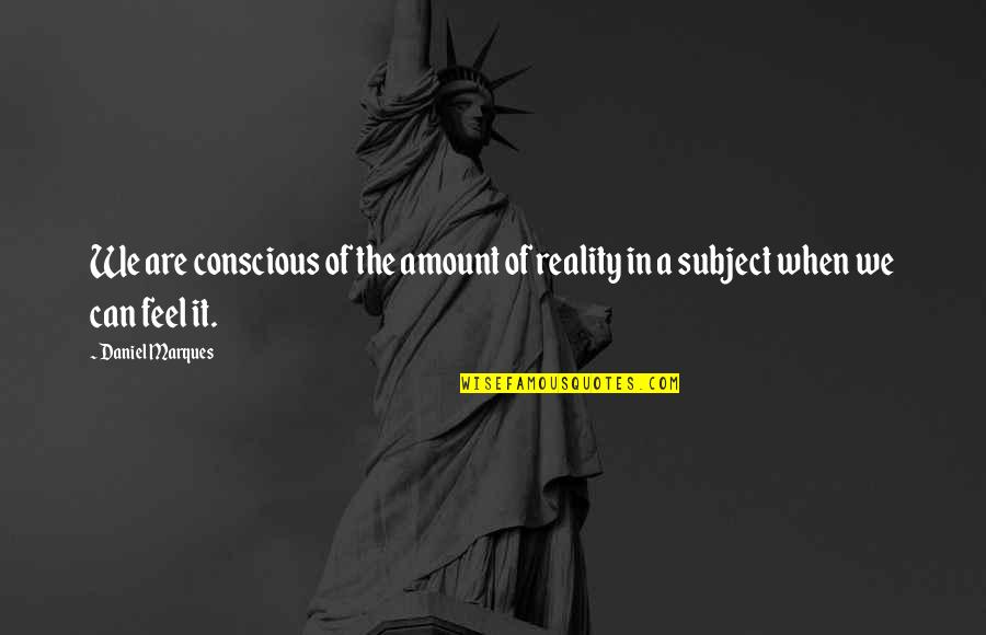 Life Lectures Quotes By Daniel Marques: We are conscious of the amount of reality