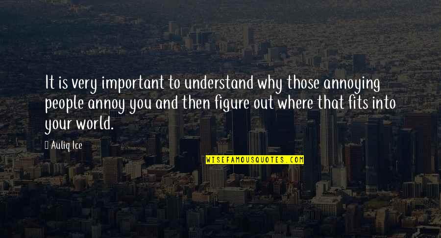 Life Lessons And Happiness Quotes By Auliq Ice: It is very important to understand why those