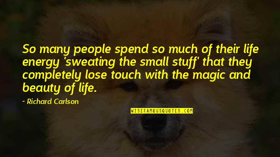 Life Lessons In French Quotes By Richard Carlson: So many people spend so much of their