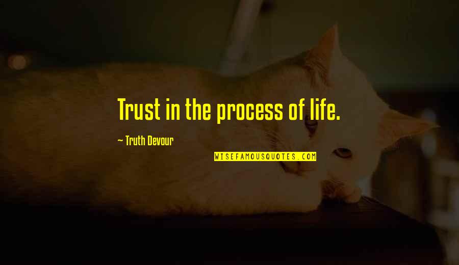 Life Lessons Trust Quotes By Truth Devour: Trust in the process of life.