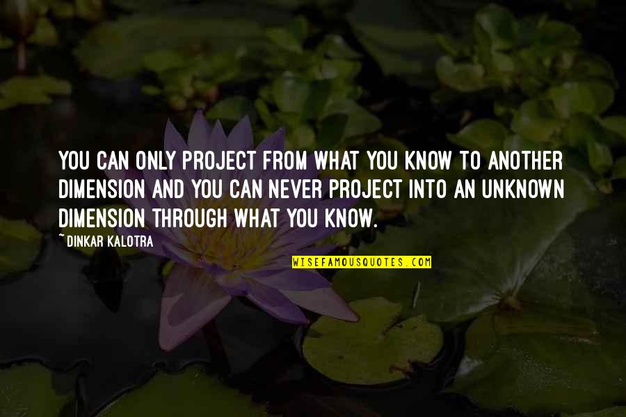 Life Lessons Unknown Quotes By Dinkar Kalotra: You can only project from what you know