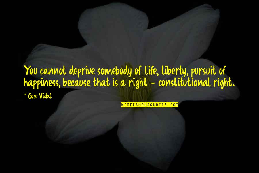 Life Liberty And Happiness Quotes By Gore Vidal: You cannot deprive somebody of life, liberty, pursuit