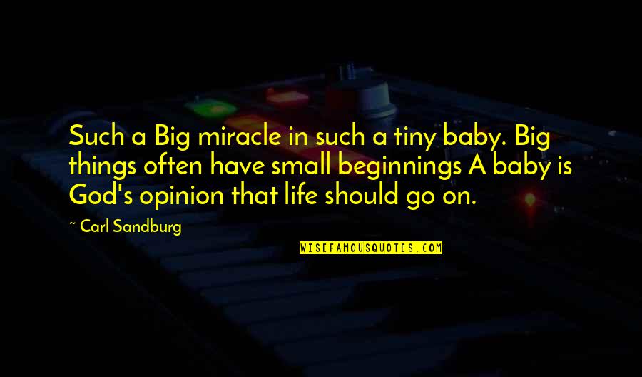 Life Life Goes On Quotes By Carl Sandburg: Such a Big miracle in such a tiny