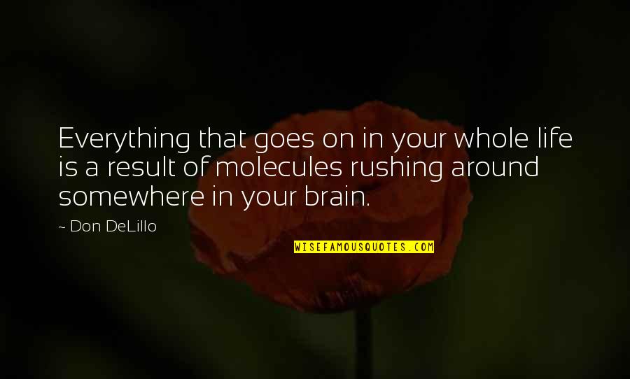 Life Life Goes On Quotes By Don DeLillo: Everything that goes on in your whole life