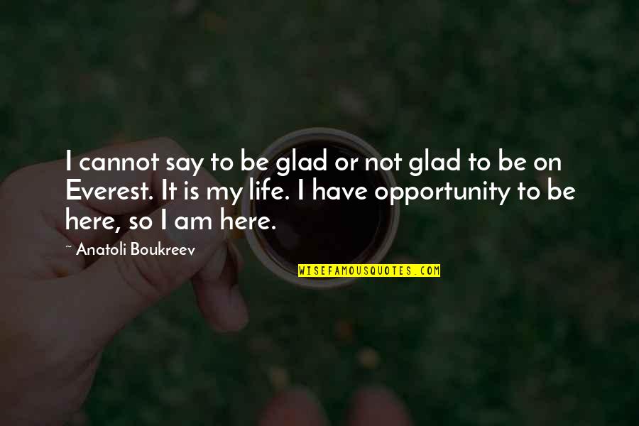 Life Life Life Quotes By Anatoli Boukreev: I cannot say to be glad or not