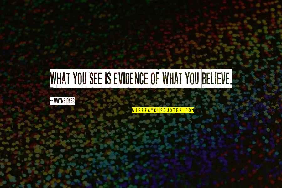 Life Like Chess Quotes By Wayne Dyer: What you see is evidence of what you