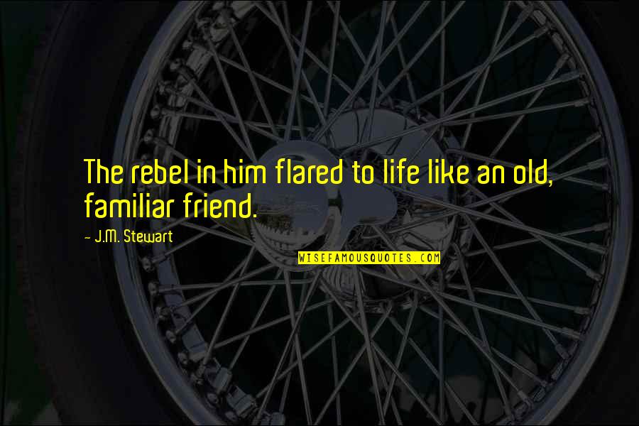 Life Lines Quotes By J.M. Stewart: The rebel in him flared to life like