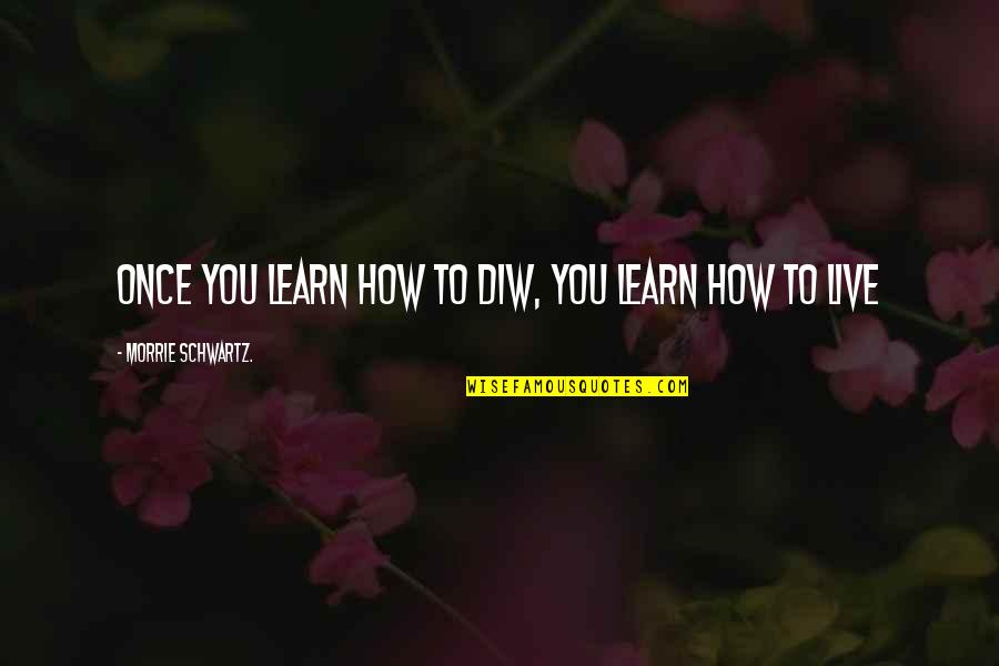Life Live And Learn Quotes By Morrie Schwartz.: Once you learn how to diw, you learn