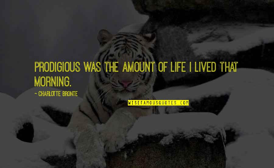 Life Lived Quotes By Charlotte Bronte: Prodigious was the amount of life I lived