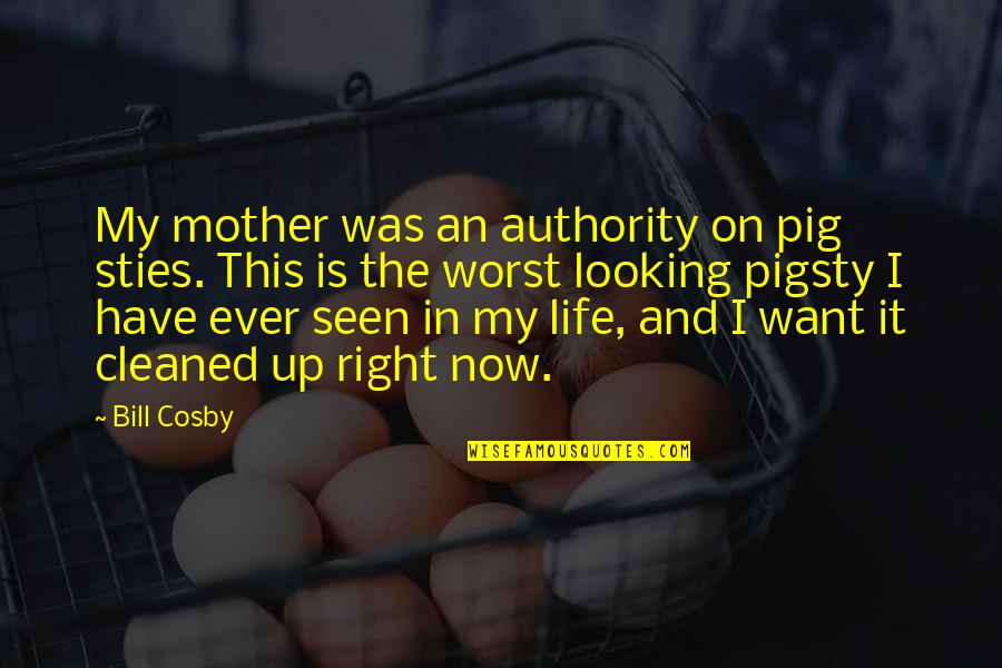 Life Looking Up Quotes By Bill Cosby: My mother was an authority on pig sties.