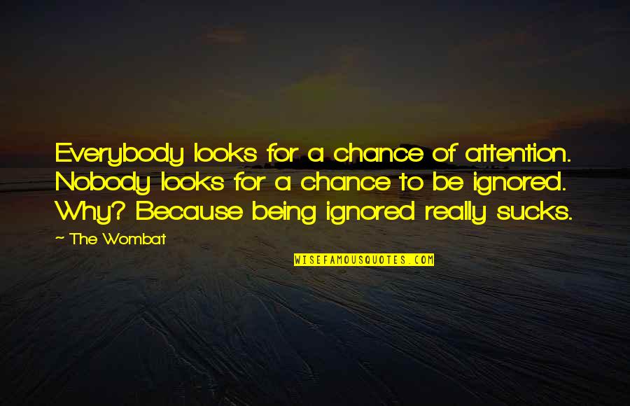 Life Looks Quotes By The Wombat: Everybody looks for a chance of attention. Nobody
