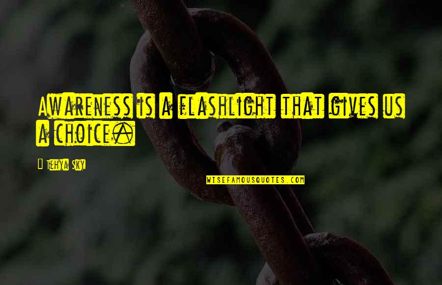 Life Love Choice Quotes By Tehya Sky: Awareness is a flashlight that gives us a