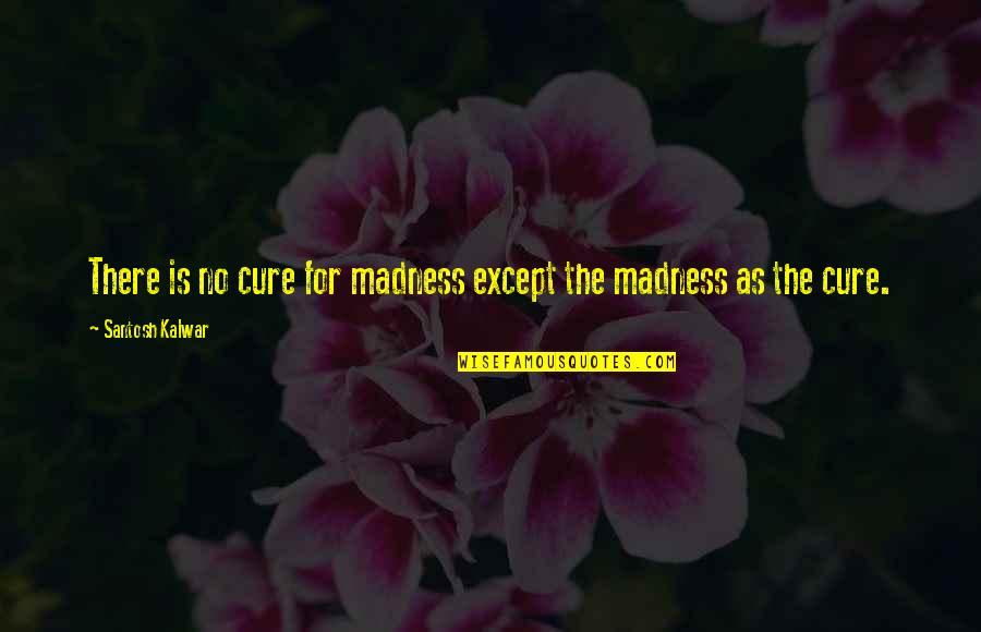 Life Madness Quotes By Santosh Kalwar: There is no cure for madness except the