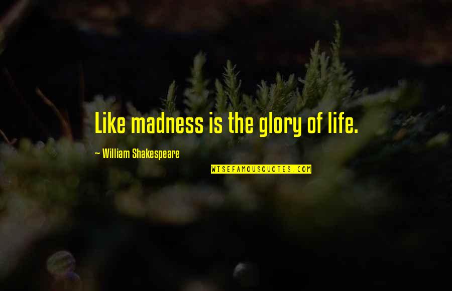 Life Madness Quotes By William Shakespeare: Like madness is the glory of life.