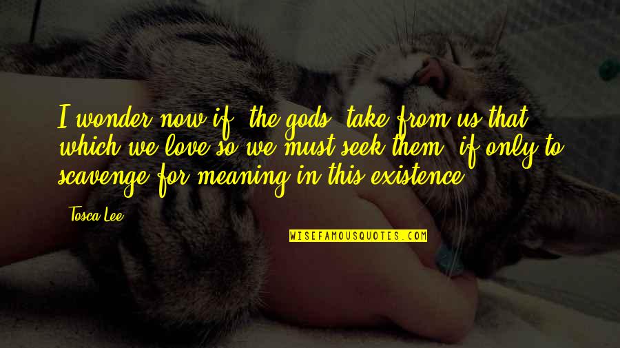 Life Meaning Love Quotes By Tosca Lee: I wonder now if [the gods] take from