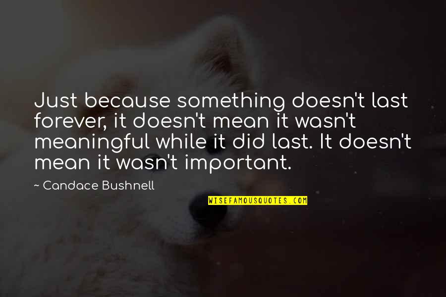 Life Meaningful Quotes By Candace Bushnell: Just because something doesn't last forever, it doesn't