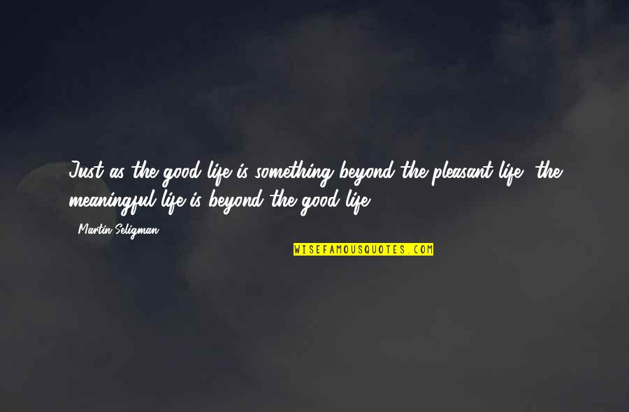 Life Meaningful Quotes By Martin Seligman: Just as the good life is something beyond