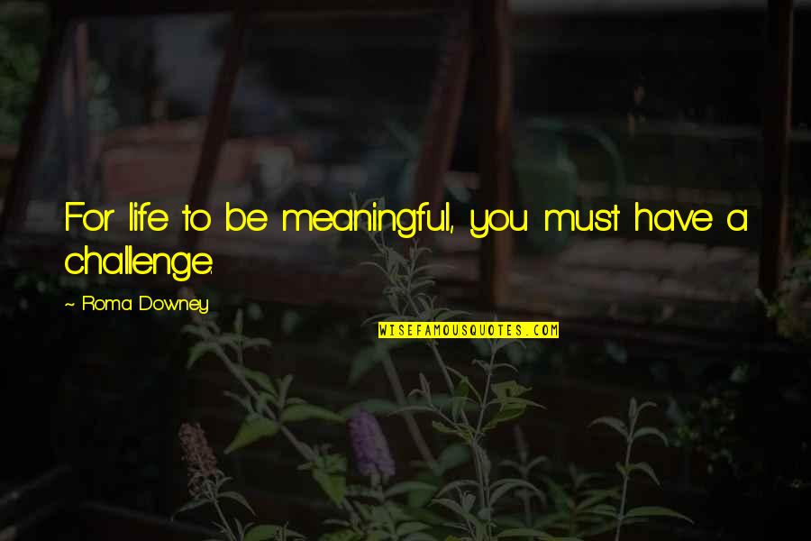 Life Meaningful Quotes By Roma Downey: For life to be meaningful, you must have