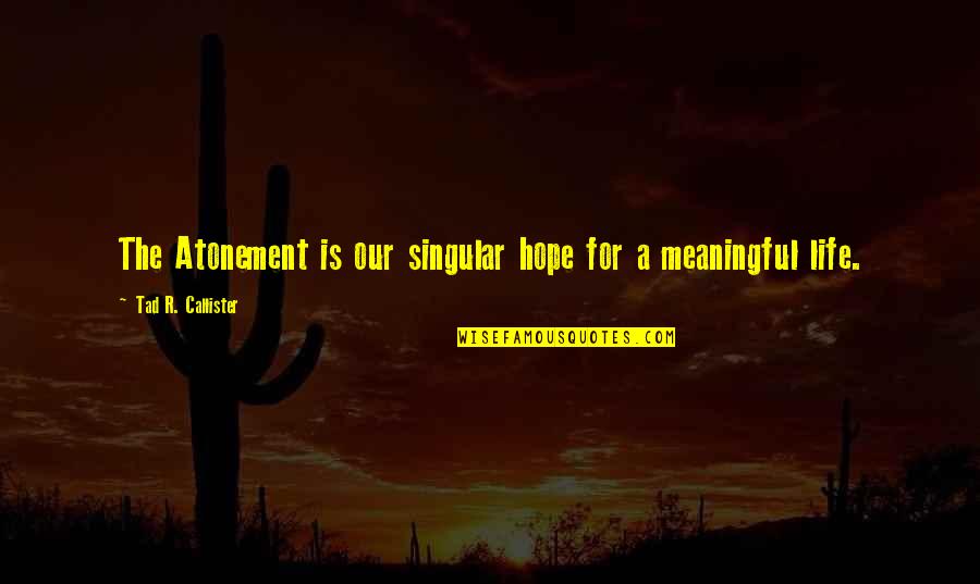 Life Meaningful Quotes By Tad R. Callister: The Atonement is our singular hope for a