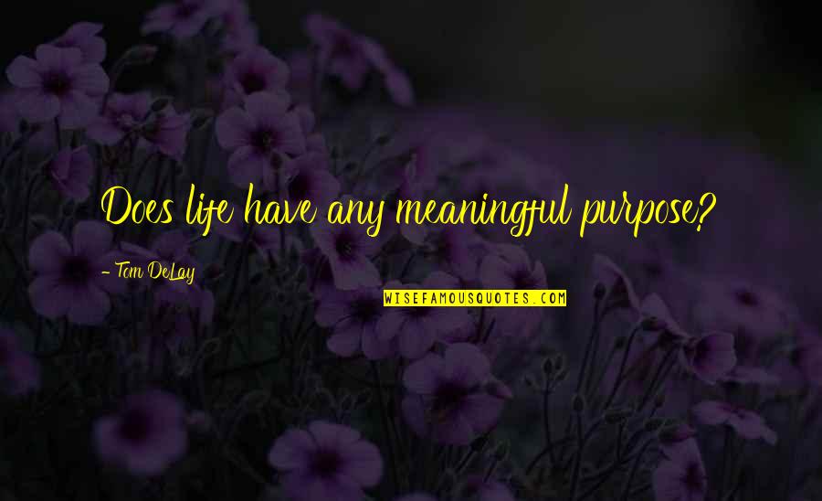 Life Meaningful Quotes By Tom DeLay: Does life have any meaningful purpose?