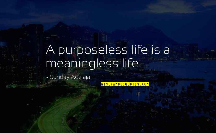 Life Meaningless Quotes By Sunday Adelaja: A purposeless life is a meaningless life Life Meaningless Quotes By Sunday Adelaja: A purposeless life is a meaningless life