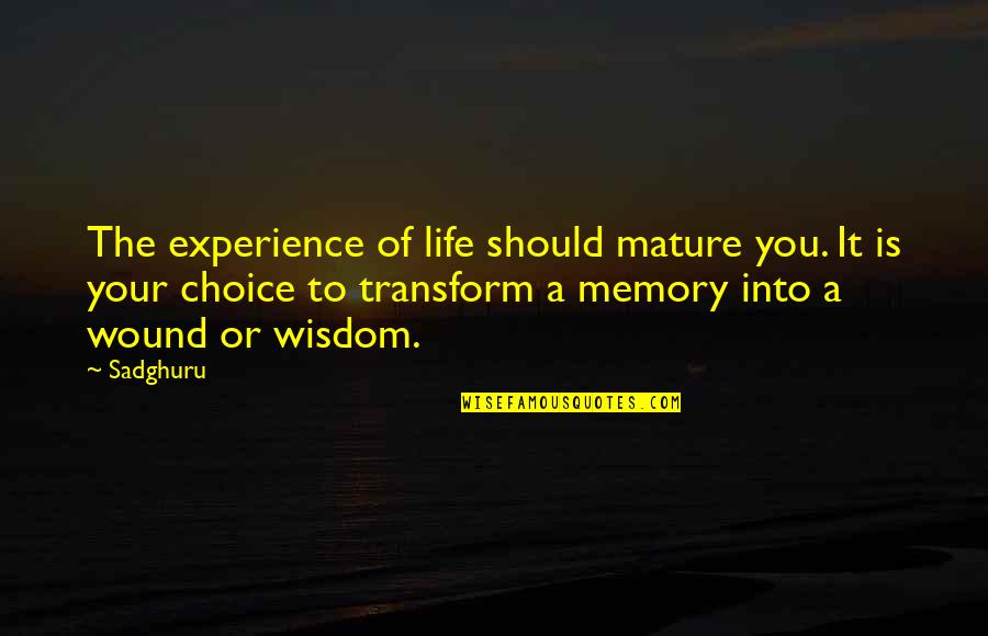 Life Memory Quotes By Sadghuru: The experience of life should mature you. It