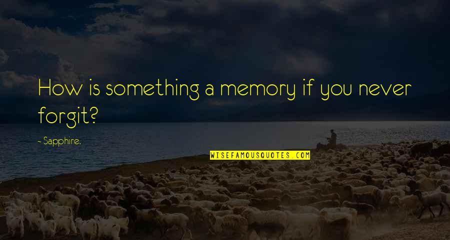 Life Memory Quotes By Sapphire.: How is something a memory if you never