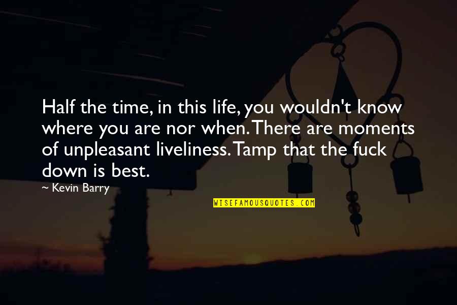 Life Moments Quotes By Kevin Barry: Half the time, in this life, you wouldn't