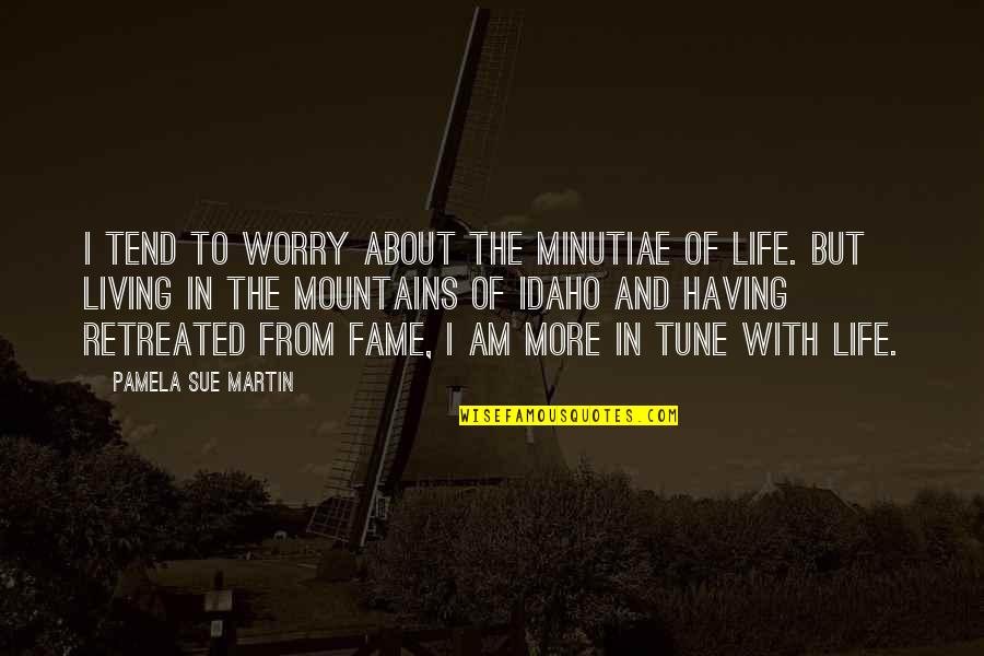 Life Mountains Quotes By Pamela Sue Martin: I tend to worry about the minutiae of